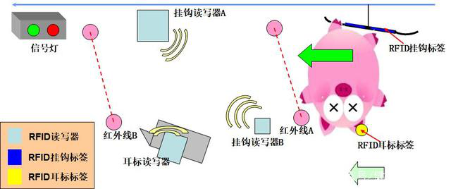  In-Depth Phân tích: Ứng dụng của RFID Độc giả giết mổ thịt lợn